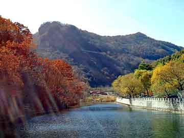 澳门天天好好免费资料，两生花祭